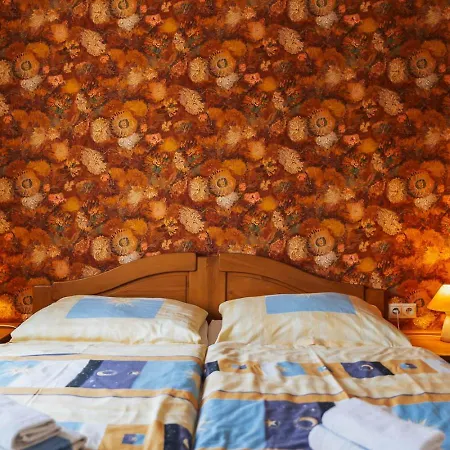 Guest house Jazzpenzion 3*